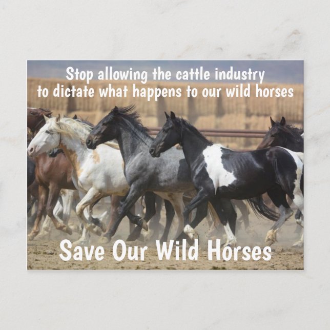 Carte Postale Campagne Sauvez nos chevaux sauvages (Devant)
