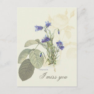 Carte Postale Campanule Bleue Botanique 1