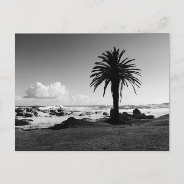 Carte postale "Camps Bay Afrique du Sud" BW JTG (Devant)