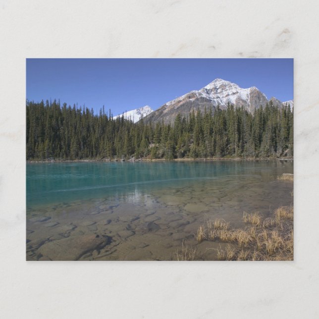Carte Postale Canada, Alberta, parc national de Jasper : JASPER, (Devant)