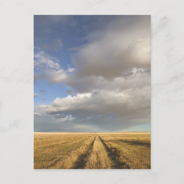 Carte Postale Canada, Alberta, Stand Off : Paysage avec (Devant)
