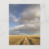 Canada, Alberta, Stand Off : Paysage avec