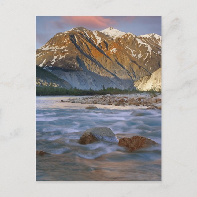 Carte Postale Canada, Colombie-Britannique, Alsek River Valley. (Devant)