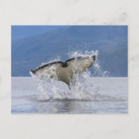 Canada, Colombie-Britannique, Île de Vancouver,
