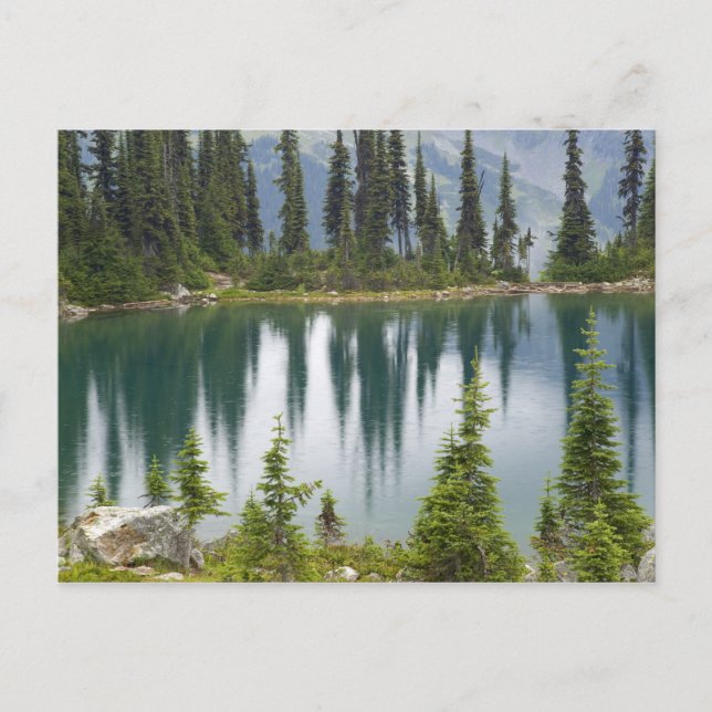 Carte Postale Canada, Colombie-Britannique, Revelstoke National (Devant)