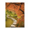 CANADA, Colombie-Britannique, Victoria. Automne