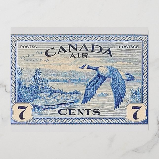 Carte postale Canada Goose Foil (Recto)
