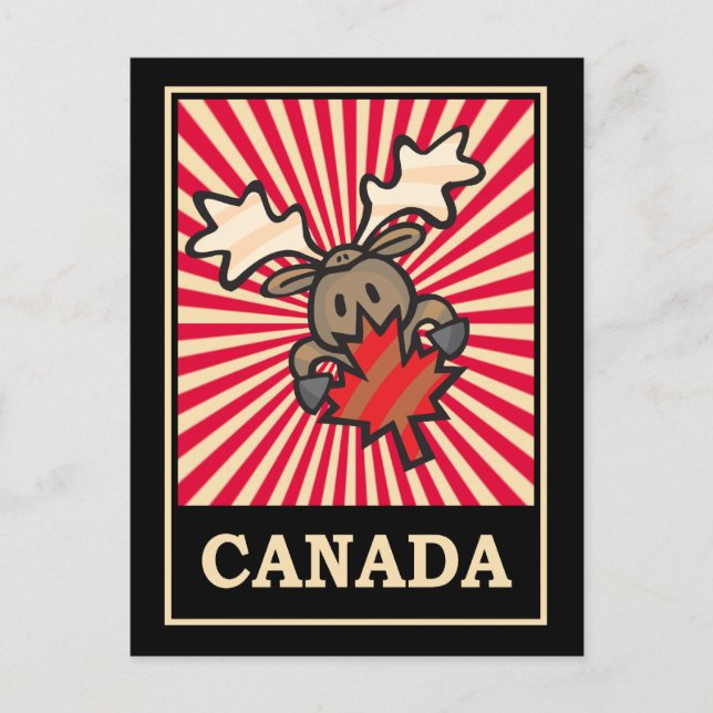 Carte Postale Canada Moose (Devant)