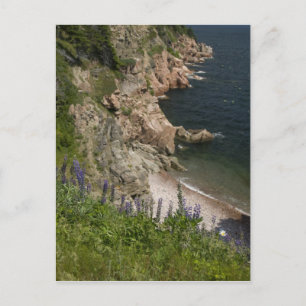 Carte Postale Canada, Nouvelle-Écosse, île du Cap-Breton, Cabot