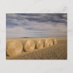 Carte Postale Canada, Saskatchewan, Craik : Roulements de foin /