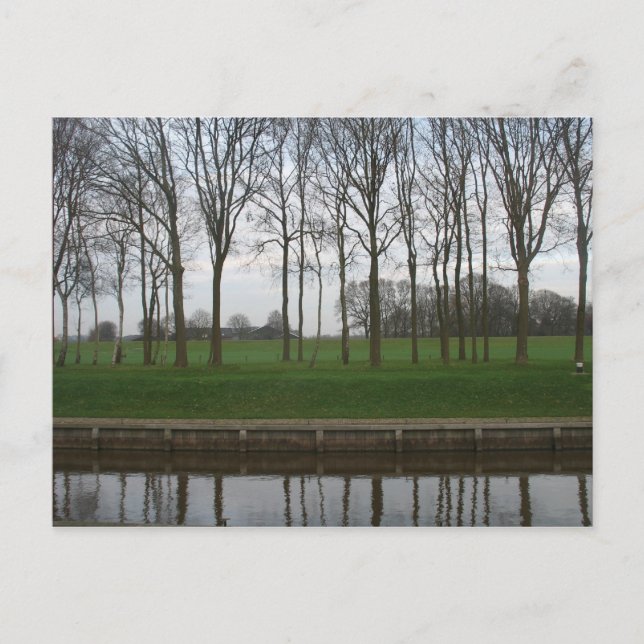 Carte postale Canal Tree Line (Devant)