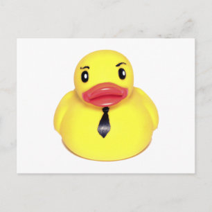 Carte Postale Canard