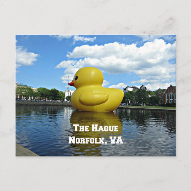Carte Postale Canard à La Haye, Norfolk, VA (Devant)