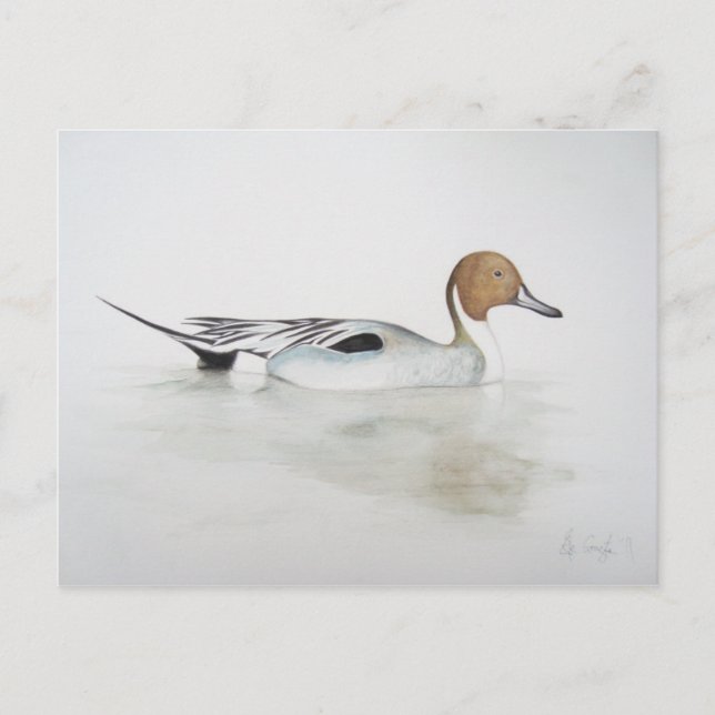 Carte Postale Canard à ongles 2011 (Devant)