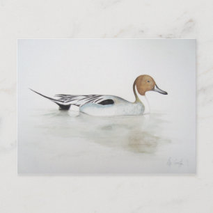 Carte Postale Canard à ongles 2011