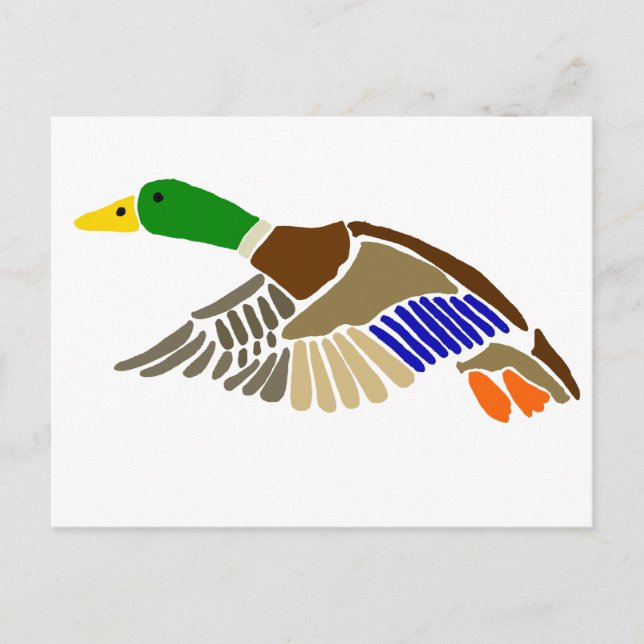 Carte Postale Canard colvert dans l'art de vol (Devant)