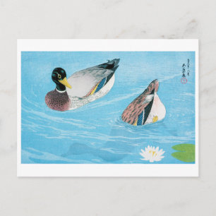 Carte Postale Canard dans l'étang, Goyō Hashiguchi
