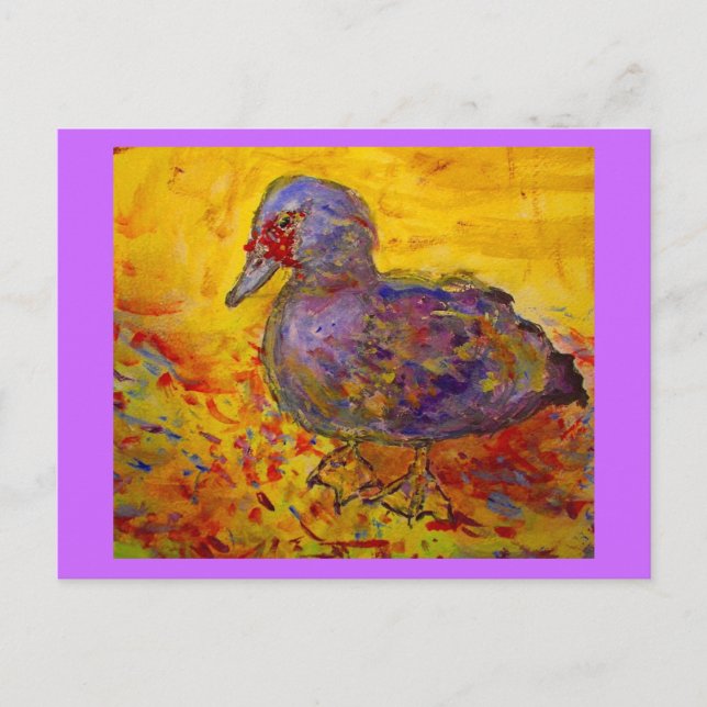 Carte Postale canard de muscovy (Devant)