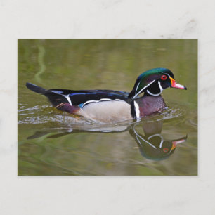 Carte Postale Canard en bois coloré