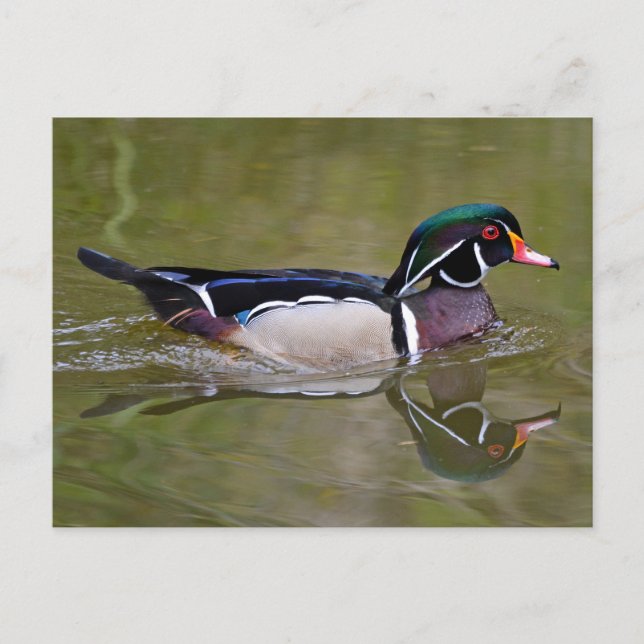 Carte Postale Canard en bois coloré (Devant)