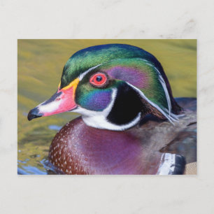 Carte Postale Canard en bois coloré Gros plan