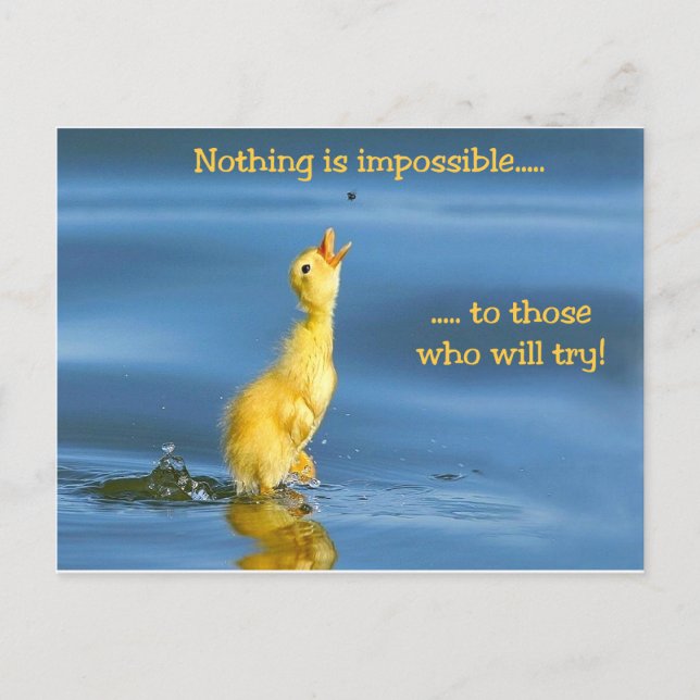 Carte Postale Canard impossible (Devant)