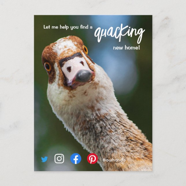 Carte Postale canard merveilleux génial marketing d'agent immobi (Devant)