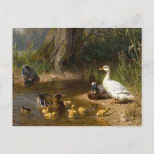 Carte Postale Canards au bord de l'eau par Carl Jutz