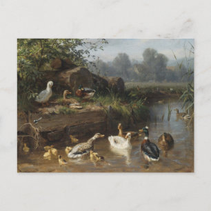 Carte Postale Canards au ruisseau par Carl Jutz