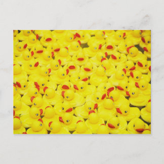 Carte Postale Canards en caoutchouc