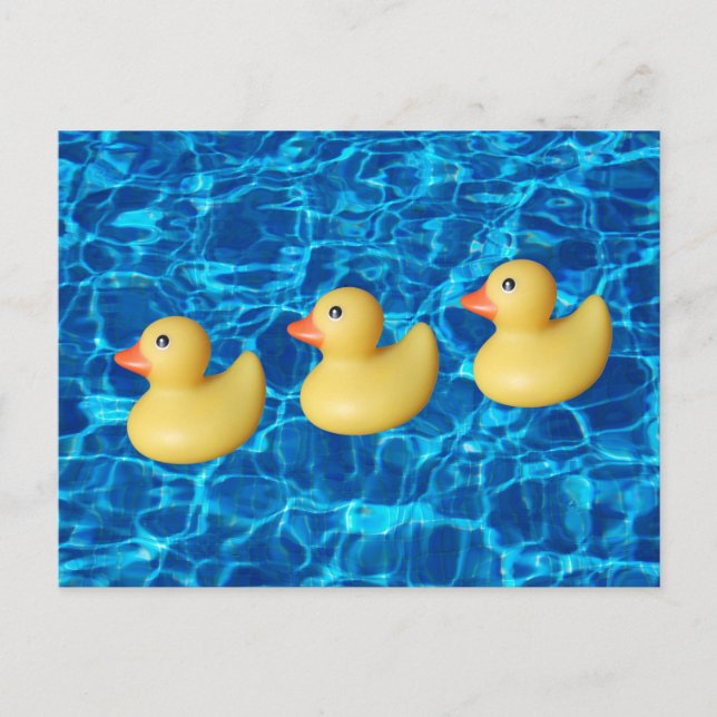 Carte Postale Canards en caoutchouc d'affilée, eau de piscine (Devant)