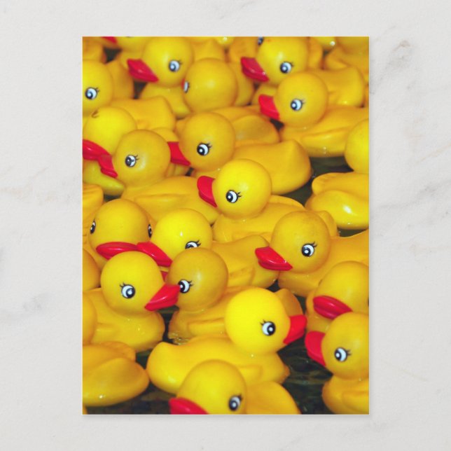 Carte Postale Canards en caoutchouc jaune mignon (Devant)