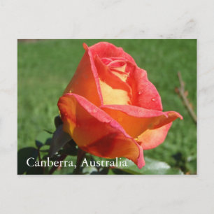 Carte postale Canberra, Australie