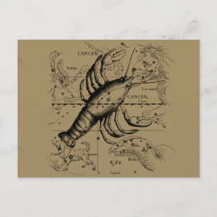 Carte Postale Cancer Constellation Hevelius 1690 Engaving