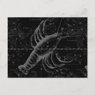 Carte Postale Cancer Constellation Hevelius 1690 sur Noir