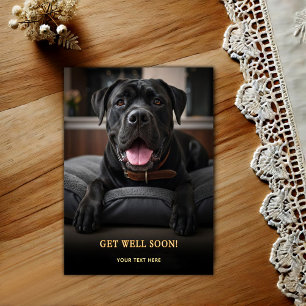 Carte Postale Cane Corso Adorable Prompt rétablissement 