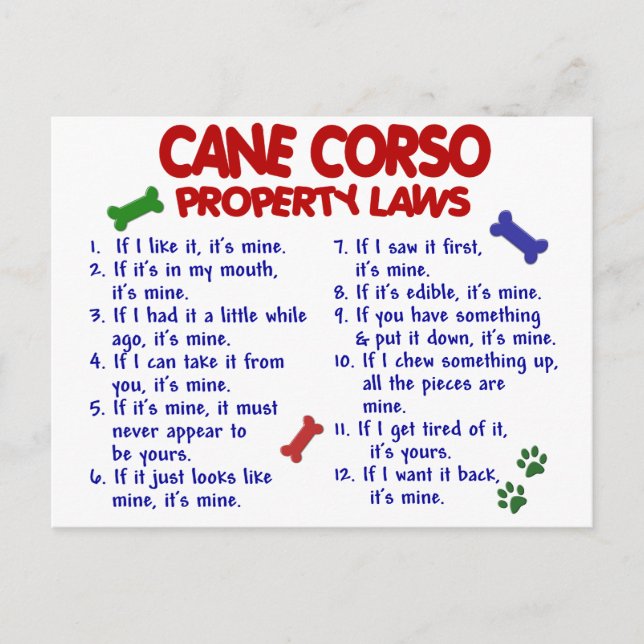 Carte Postale CANE CORSO Lois sur la propriété 2 (Devant)