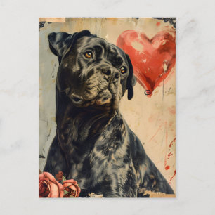 Carte Postale Cane Corso Saint Valentin Vintage,