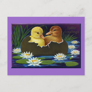 Carte Postale Canettes en bateau à coque d'oeuf avec nénuphars