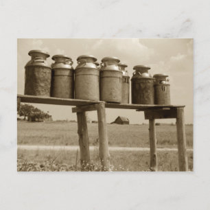 Carte Postale Canettes vintages de lait