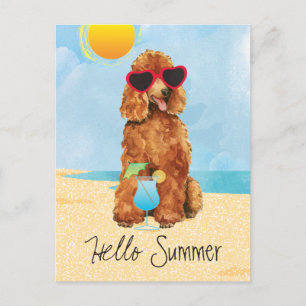 Carte Postale Caniche d'été