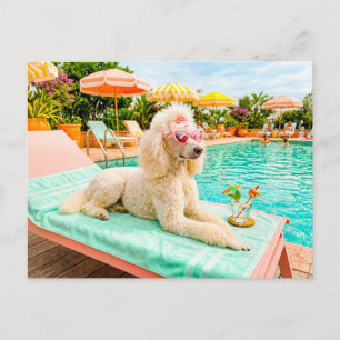 Carte Postale Caniche sur chaise longue