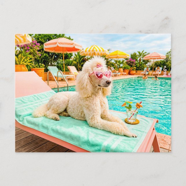 Carte Postale Caniche sur chaise longue (Devant)