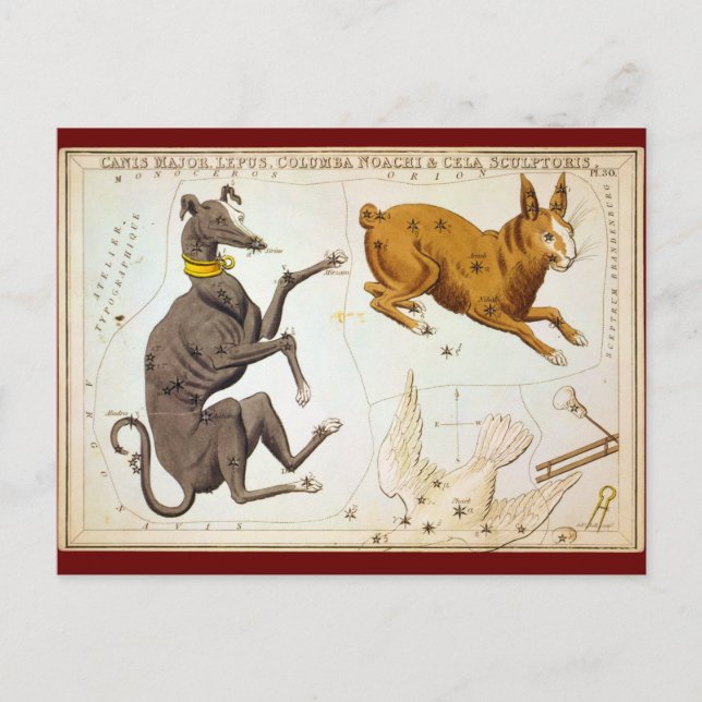 Carte Postale Canis Major, Lepus, Columba Noachi & Cela Sculptor (Devant)
