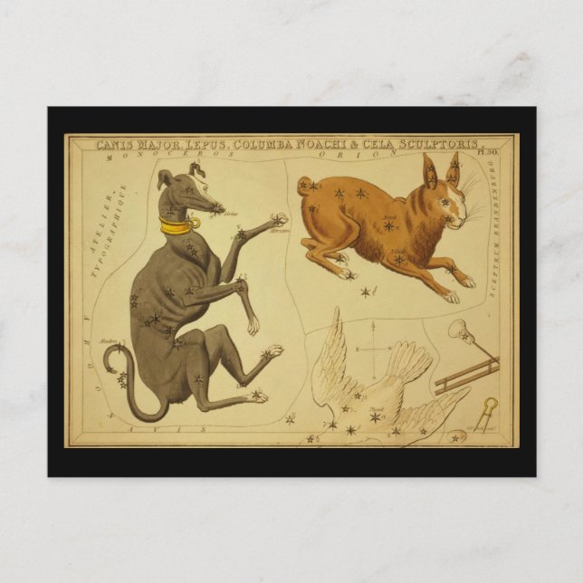 Carte Postale Canis Major, Lepus, Columba Noachi Cela Sculptoris (Devant)