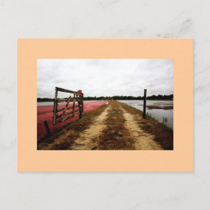 Carte Postale canneberge