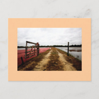 Carte Postale canneberge