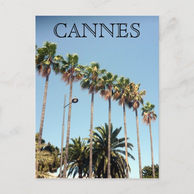 Carte Postale cannes palmiers (Devant)