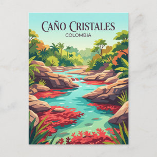 Carte Postale Caño Cristales Colombie