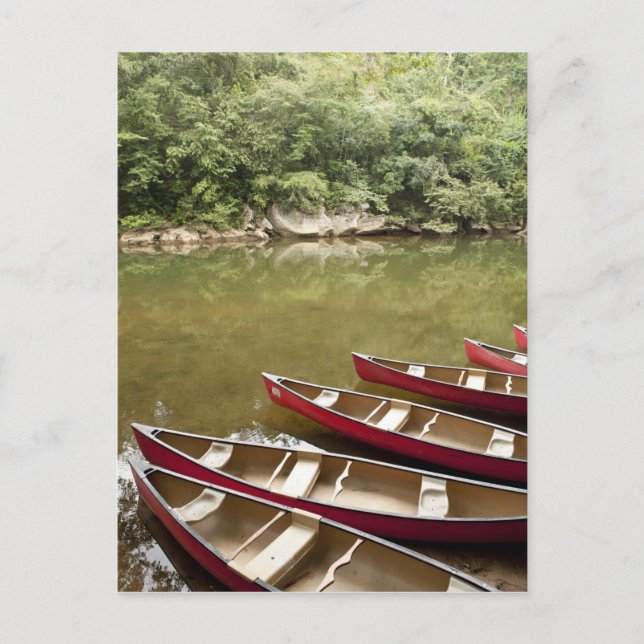 Carte Postale Canoë-kayak sur la rivière Macal, Belize (Devant)